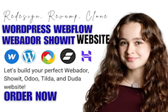 redesign hostinger webflow revamp clone showit webador odoo duda tilda website