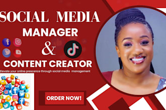 be your social media marketing manager and content creator instagram facebook ad