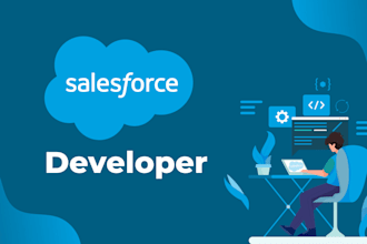 assist you with setting up the salesforce environment and resolving issues