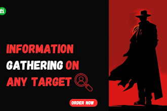 do digital forensics and private investigations
