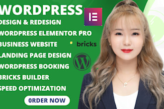rebuild wordpress elementor pro website development bricks builder ai autoblog