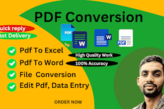 convert PDF to word, google docs, typing services