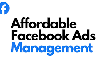 create your facebook paid ad campaigns with 30 days of ongoing ad management
