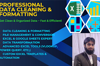 do fast accurate data cleaning of CSV, excel, google sheets