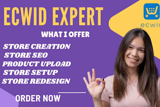 redesign ecwid store ecwid website design drop shippin ecwid store ecwid seo
