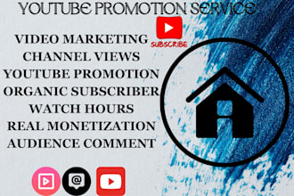 be your professional youtube channel manager and growth expert