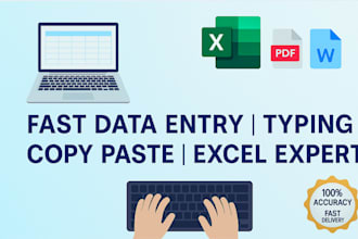 do fast data entry, typing work copy paste and formatting