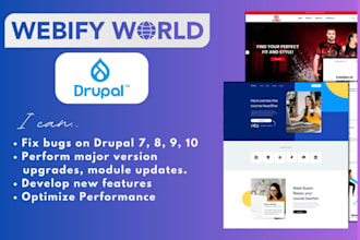 migrate customize develop fix bug drupal website development wordpress migration