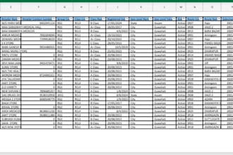 do excel data analysis cleaning and formatting services