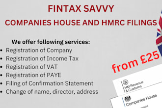 be your UK accountant for company accounts, ct 600, vat, paye, self assessment