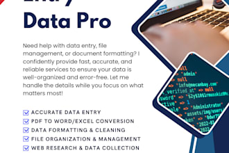 do data entry copy paste typing PDF to excel automation