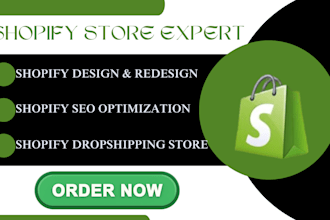 fix shopify store front, checkout abandonment, dropshipp products and redesign