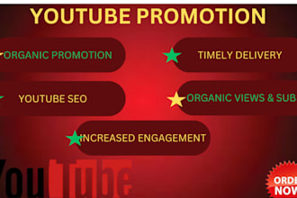 do super fast organic youtube channel views and subs promotion for monetization