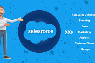 provide custom salesforce admin and development solutions for your business