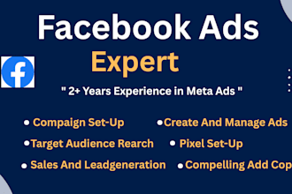 set up facebook and instagram ads compaign for your business