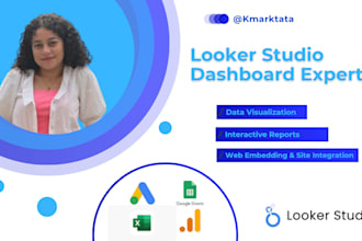 create professional looker studio dashboards for your business
