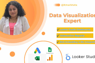 create looker studio dashboards and data visualization
