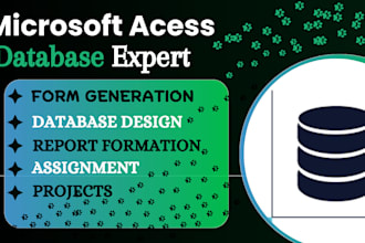 develop microsoft access database project and assignments or wordpress project
