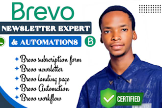 brevo bulk whatsapp marketing chatbot, systeme io, gohighlevel sales funnel a2p