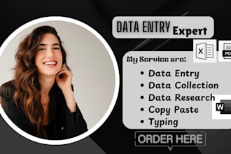 do excel data entry, typing, data collection, web search and copy paste