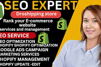 optimize shopify website or store speed SEO optimization google ads expert