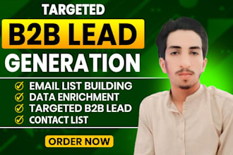 b2b lead generation, targeted email list building and prospect research