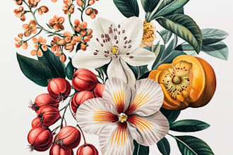 create botanical illustration of flowers, plants, and fruits