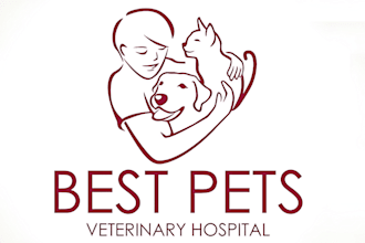 design modern pet, dog, cat or animal, and veterinary clinic logo