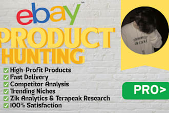 find winning ebay  products  high profit, low competition