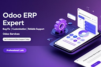 handle errors, odoo customizations and provide odoo support
