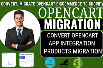 convert opencart, bigcommerce, magento, woocommerce to shopify ecommerce store