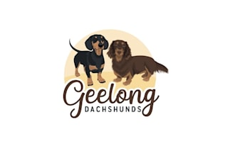 design sausage dog dachshund breeder logo