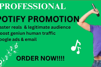 organic music promotion, run ads campaign, to promote song album, spotify music