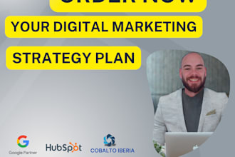 create a results driven digital marketing strategy plan for your business