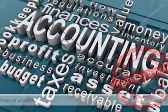 do accounting and finance assignments financial analysis reports excel project