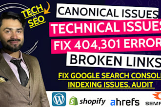 fix 404,301  broken links and gsc canonical issues on your website audit
