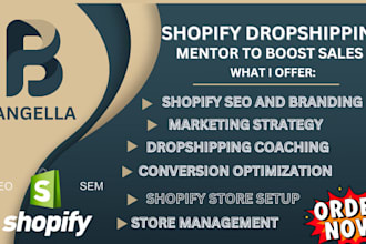 shopify mentor ecommerce sales consultant scale and grow your store