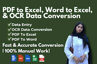 convert PDF to excel, word to excel, and ocr data conversion