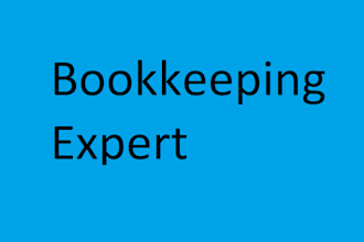 provide bookkeeping and financial accounting services