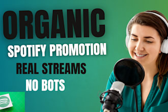 boost spotify streams and followers with expert video promotion