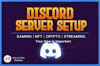 setup custom discord server,gaming discord, nft discord, crypto discord server