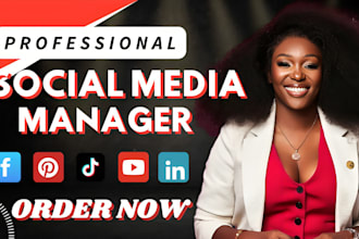 be your linkedin social media manager instagram content creation facebook ads