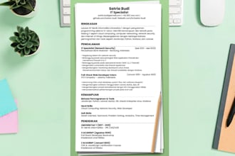 design modern, professional resume, CV, portfolio in canva