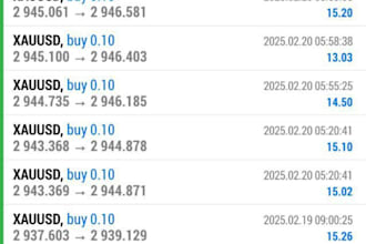 create forex trading bot, profitable trading bot, trading robot, forex ea robot