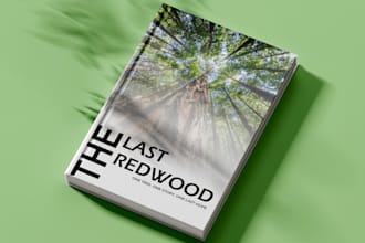 eye catching professional book cover design