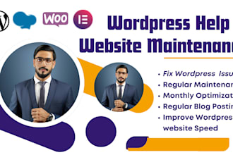 wordpress help, website support, maintenance, fix domain issue or fix smtp issue