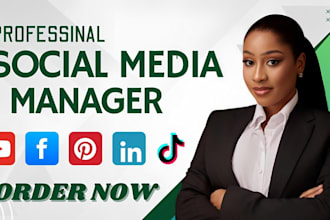 do social media manager content creator facebook ads instagram linkedin manager