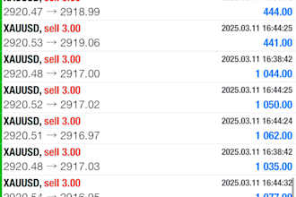 manage your mt4, mt5 account with proper risk management pass account challenge