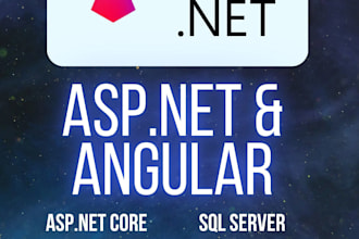 code asp net core and angular web applications