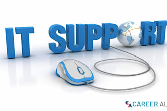 offer remote IT support with customers through teamviewer